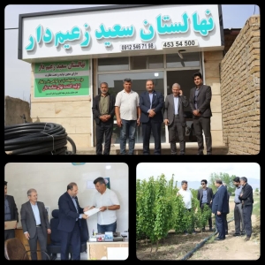 تصویر تولید ۳۰۰۰ اصله نهال مثمر، گامی مؤثر در راستای پویش “سرو ایران”