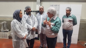 تصویر بررسی وضعیت زنجیره تامین تولید سبز  در واحدهای صنعتی چهارباغ