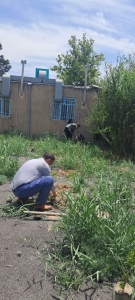 تصویر کاشت ۳۵ اصله  به نام و یاد شهدای معلم مدرسه میناب در محوطه اداره منابع طبیعی و آبخیزداری کرج