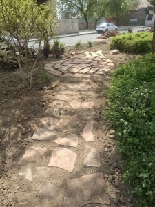 تصویر بلوار یاسمین رنگ تازه می‌گیرد