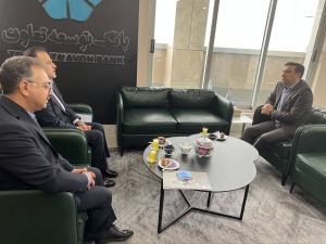 تصویر دیدار معاون اقتصادی استانداری البرز با مدیرعامل بانک توسعه تعاون