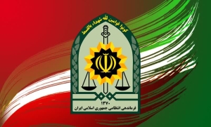 تصویر آمادگی پلیس برای رسیدگی فوری به گزارشات مردمی
