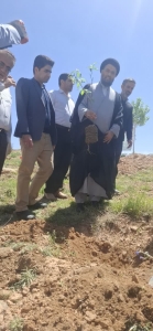 تصویر برگزاری پویش " سرو ایران" در شهرستان نظرآباد