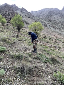 تصویر آزادسازی ۵۰۰ مترمربع از اراضی ملی تصرف شده روستای میدانک