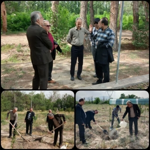 تصویر غرس نهال امید در نهالستان بزرگ کرج به یاد شهدای نصر رمضان
