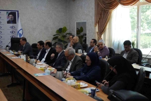 تصویر برگزاری نشست مشترک اعضای هیئت علمی موسسه رازی و انستیتو پاستور