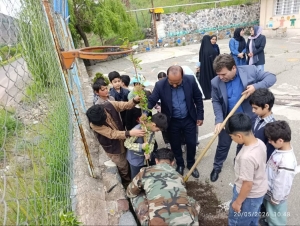 تصویر برگزاری پویش ملی «سرو ایران» در طالقان به یاد رهبران و شهدای گران‌قدر