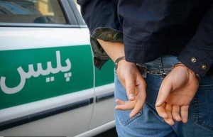 تصویر دستگیری اراذل و اوباش سابقه‌دار پس از قطع  ۵ اصله درخت چنار کهنسال در شهرستان کرج