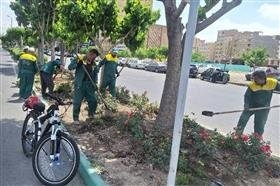 تصویر عملیات نگهداشت و توسعه فضای سبز در منطقه ۵ کرج اجرا شد