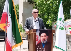 تصویر درختکاری نماد مقاومت در برابر بحران‌های زیست‌محیطی است