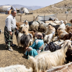 تصویر عشایر به صیانت از منابع طبیعی کشور کمک می کنند