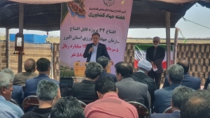 تصویر توسعه زیرساخت‌های دام و عشایر، گامی مهم برای تقویت امنیت غذایی البرز است