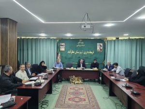 تصویر تامین نان باکیفیت و دسترسی آسان مردم به این کالای اساسی از اولویت‌های کارگروه است