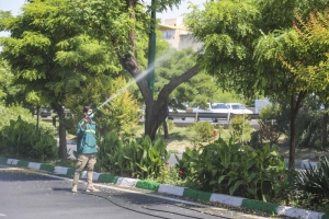 تصویر طرح تلفیقی مبارزه با آفات گیاهی در فضای سبز کرج اجرا می‌شود