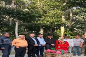 تصویر جشنواره آلبالو در لیلستان؛ احیای نقش روستاها در اقتصاد گردشگری کرج