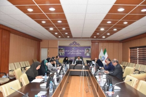 تصویر روند استقرار و چالش‌های اجرایی فاز سوم برنامه پزشکی خانواده و نظام ارجاع بررسی شد